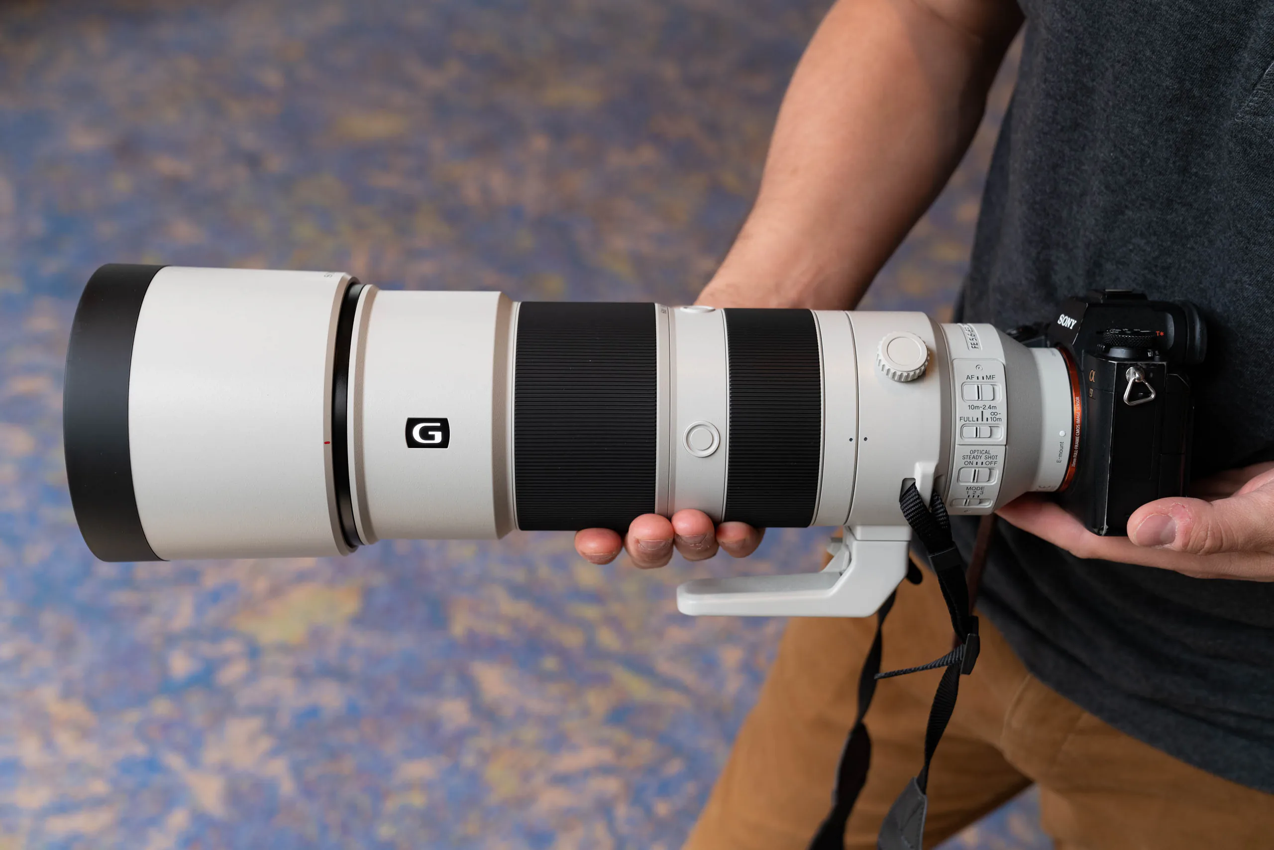 Sony FE 600mm F4 GM OSS va FE 200-600mm F5.6-6.3 G OSS