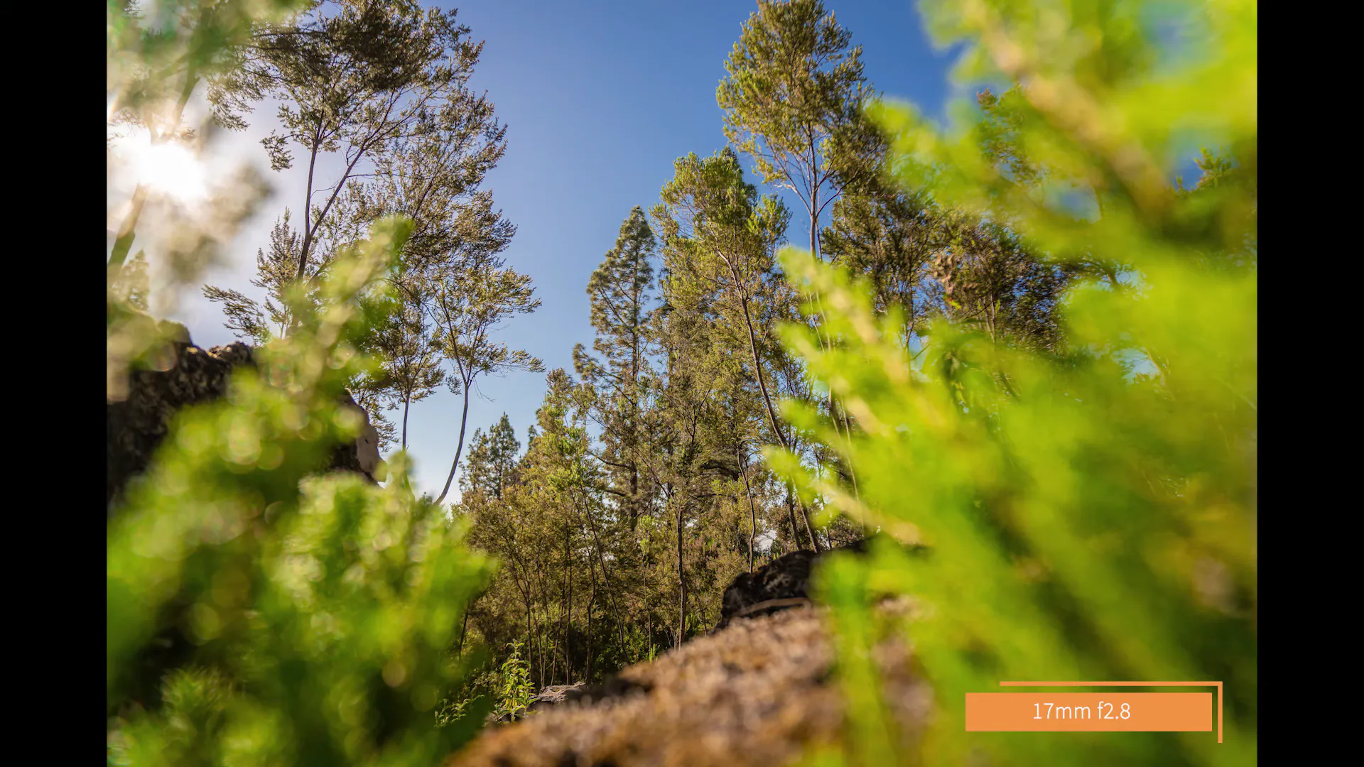 Ống kính Tamron 17-28mm FE: Nét hơn một chút so với Sony FE 16-35mm GM