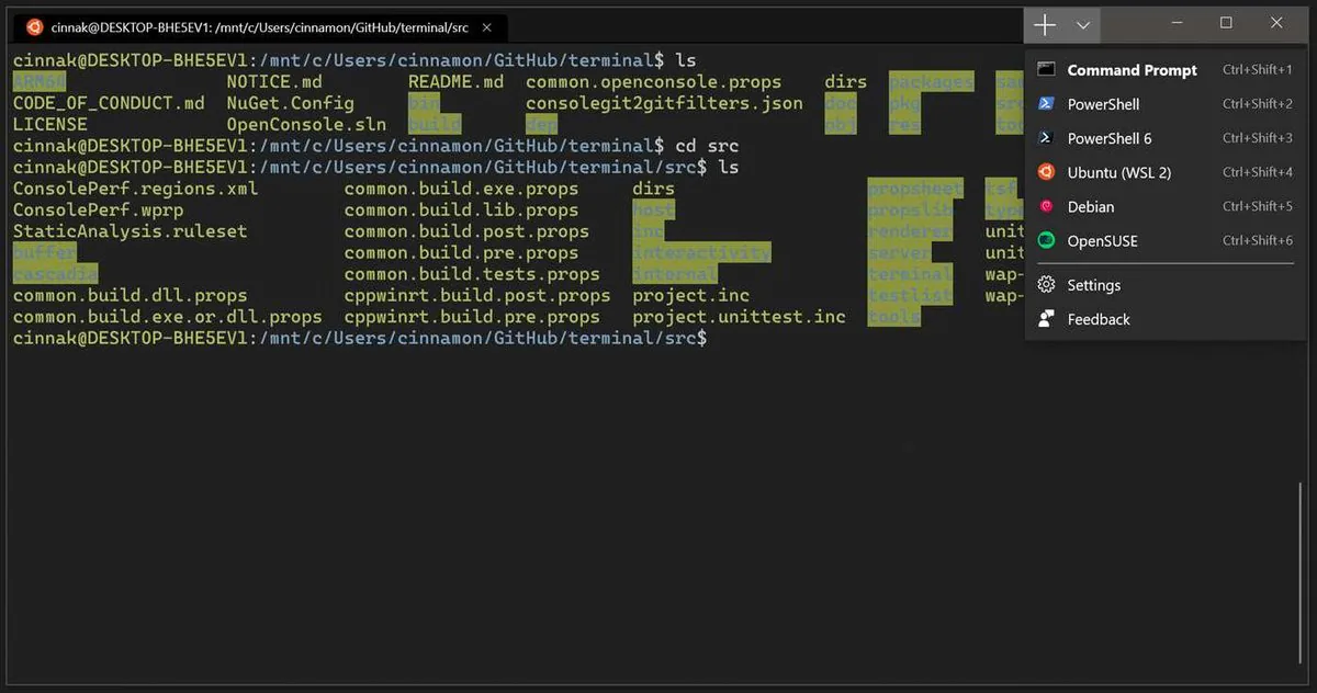 windows terminal