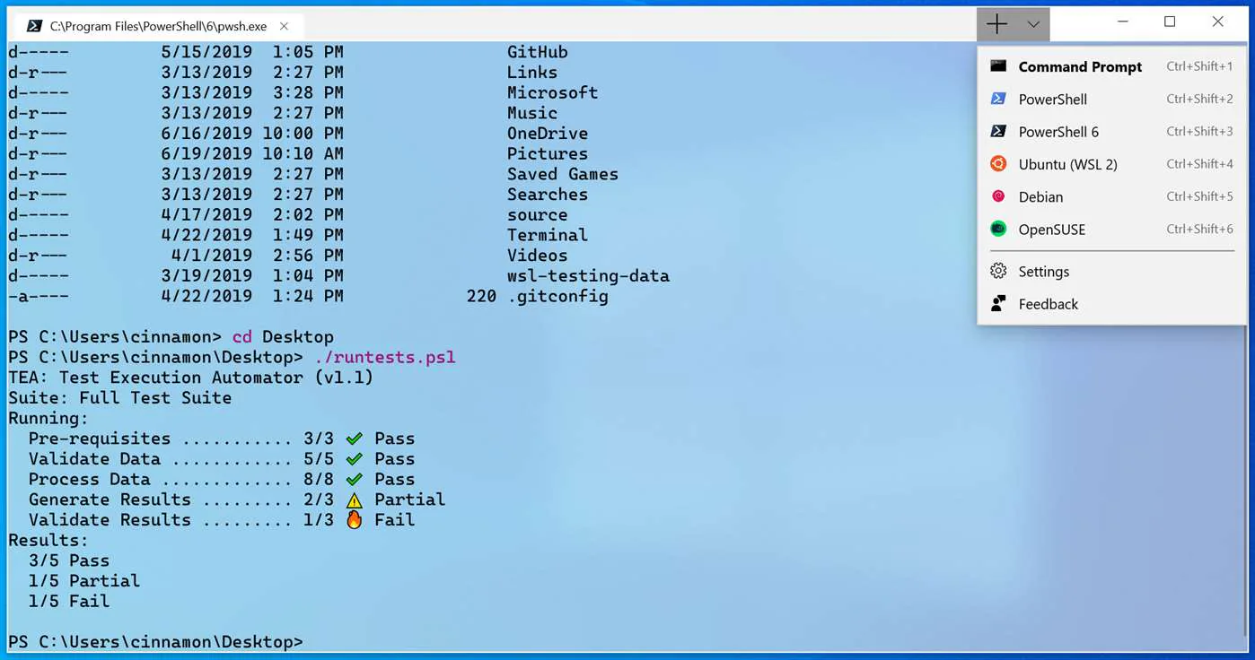 windows terminal