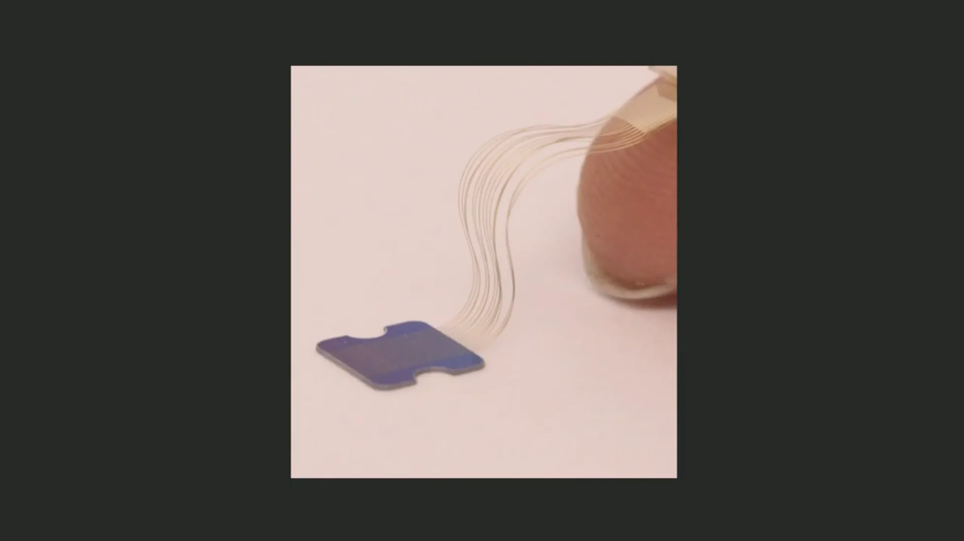neuralink