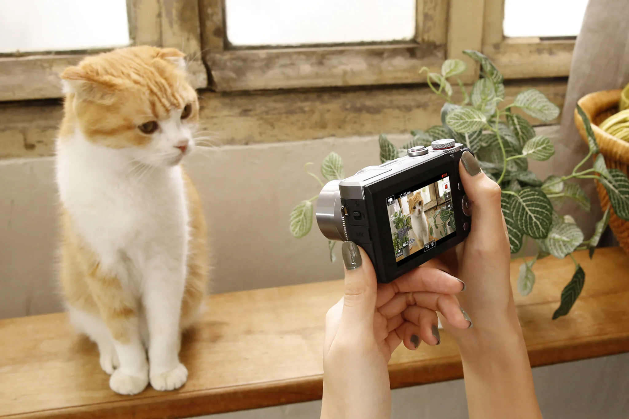 Canon giới thiệu PowerShot G5 X Mark II và PowerShot G7 X Mark III dành cho Vlogger, bán ra từ tháng 8