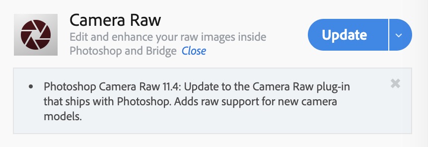 Adobe cập nhật Camera Raw, hỗ trợ đọc file RAW cho Sony A7R IV và Sony RX100 VII