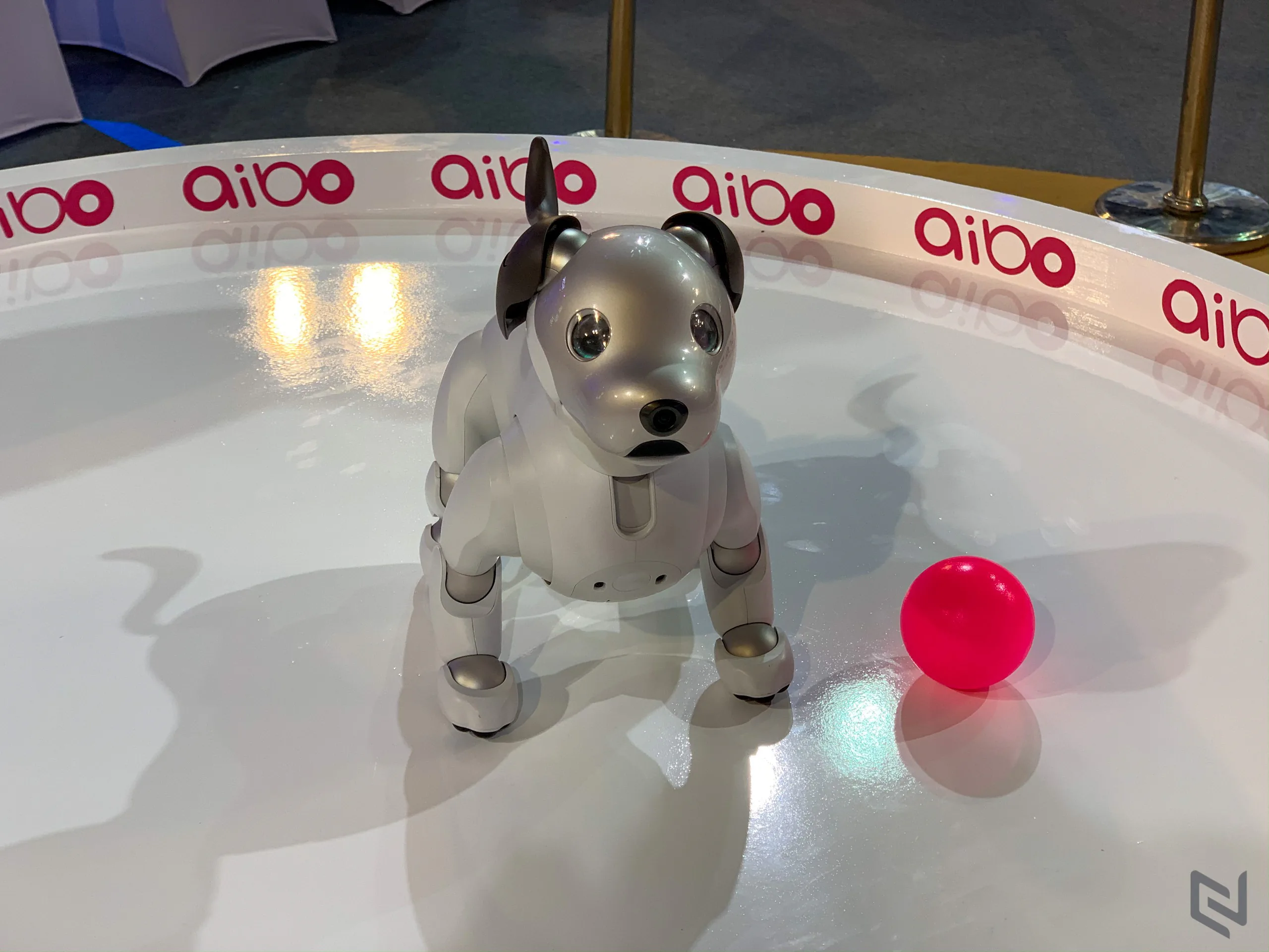 Sony Show 2019 chính thức khai mạc với chủ đề “Hello Future – chạm đến tương lai”