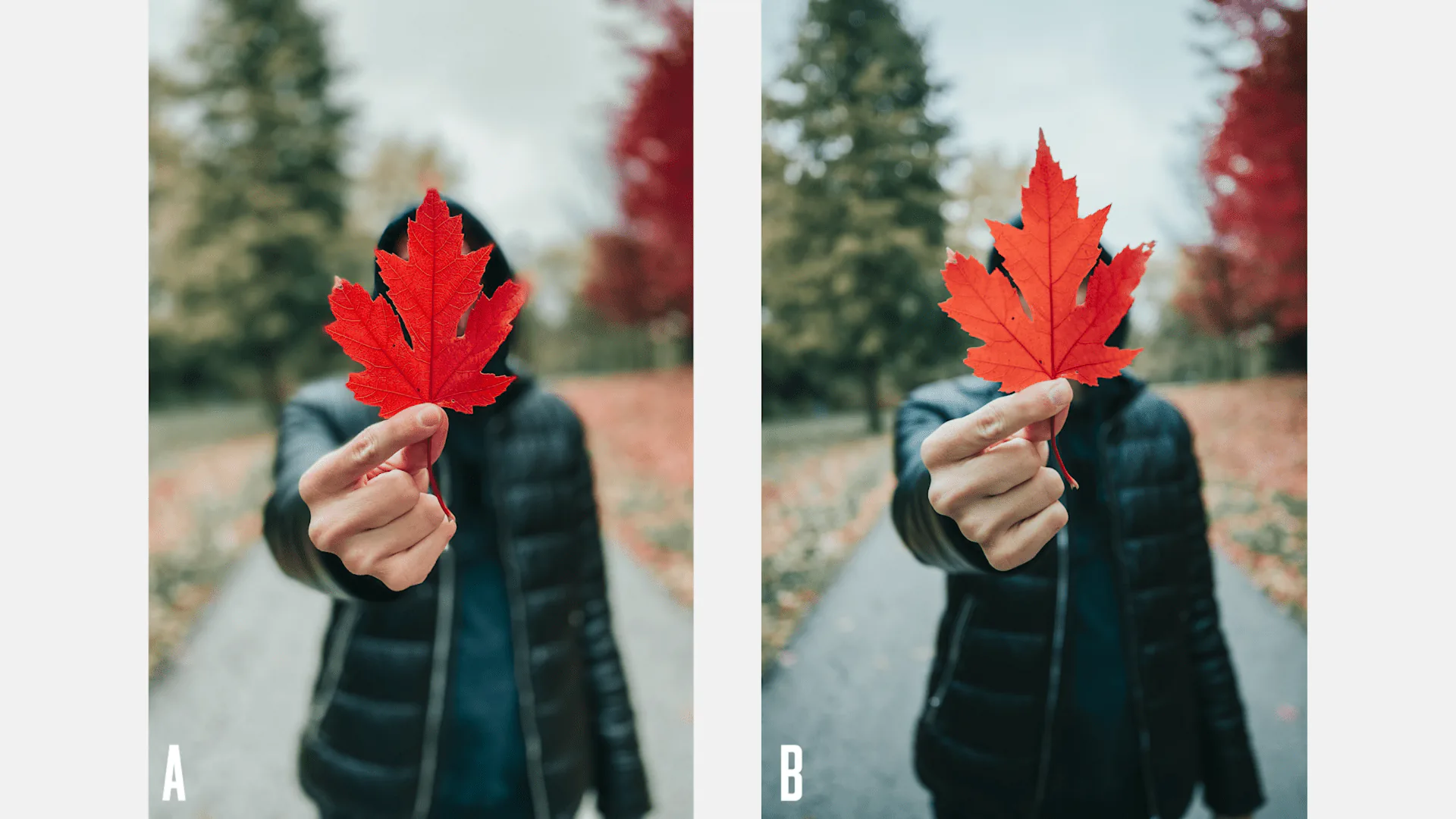 So sánh ảnh chụp từ iPhone 11 Pro và máy ảnh DSLR Canon, chất lượng đã gần hơn rất nhiều