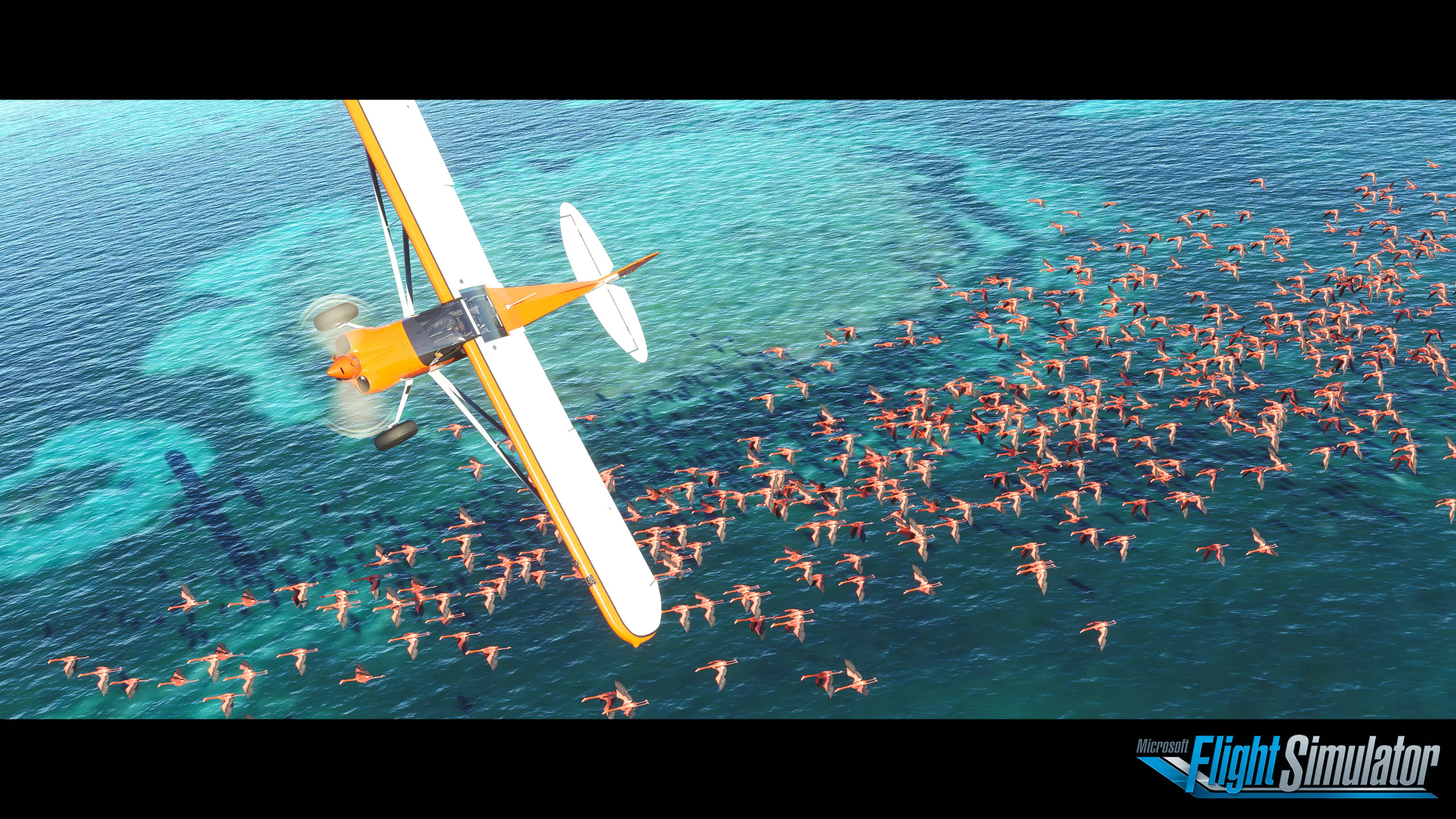 Flight Simulator 2020: Tựa game nặng nhất cho đến hiện nay với tận 2,000,000GB dữ liệu