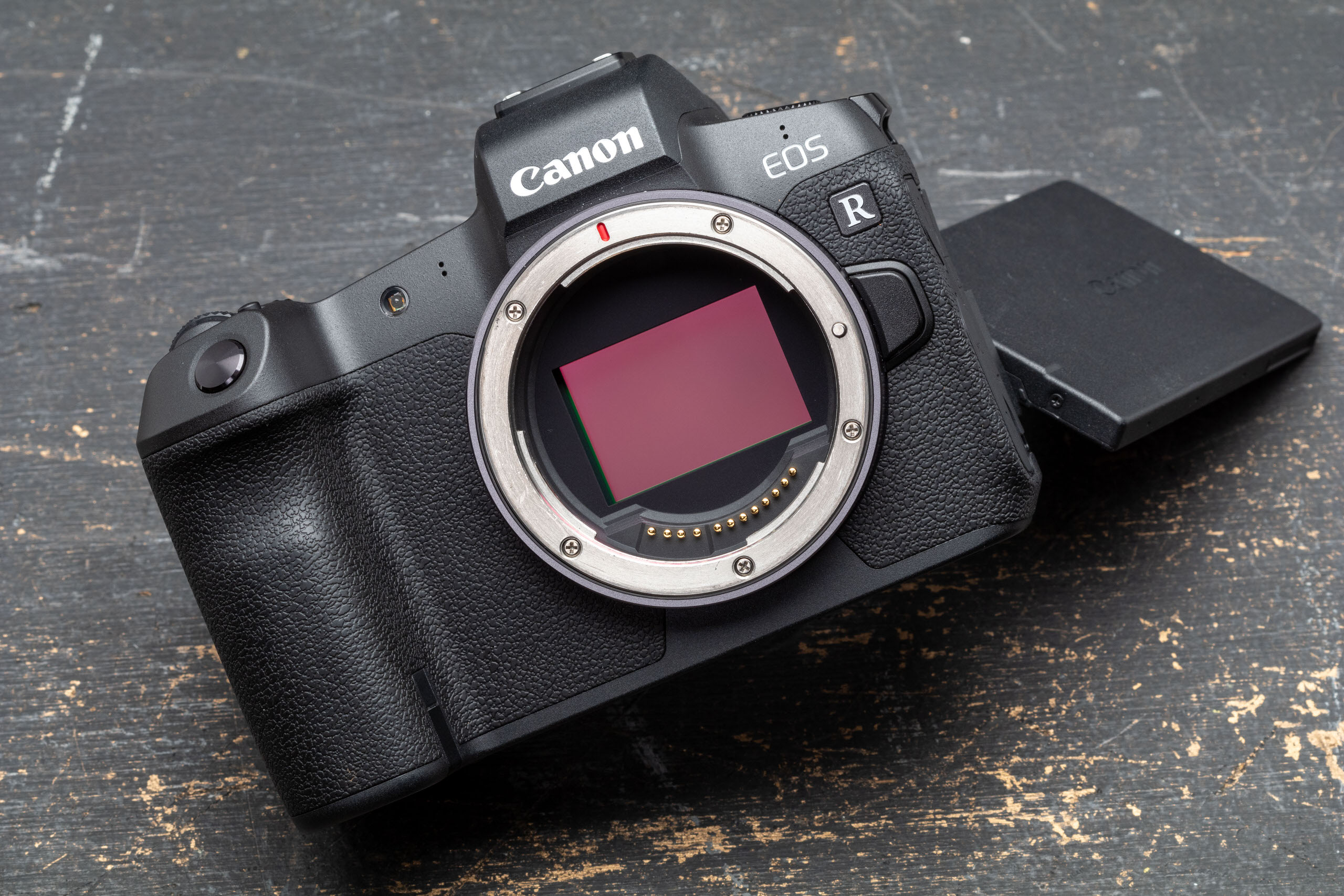 Canon EOS R Mark II có thể sẽ tích hợp tính năng Dual IS