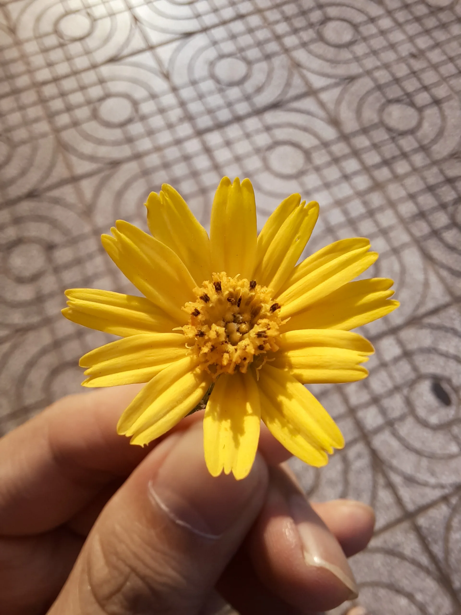 Trải nghiệm hiệu năng và camera Macro trên Galaxy A51: Những nâng cấp đáng giá