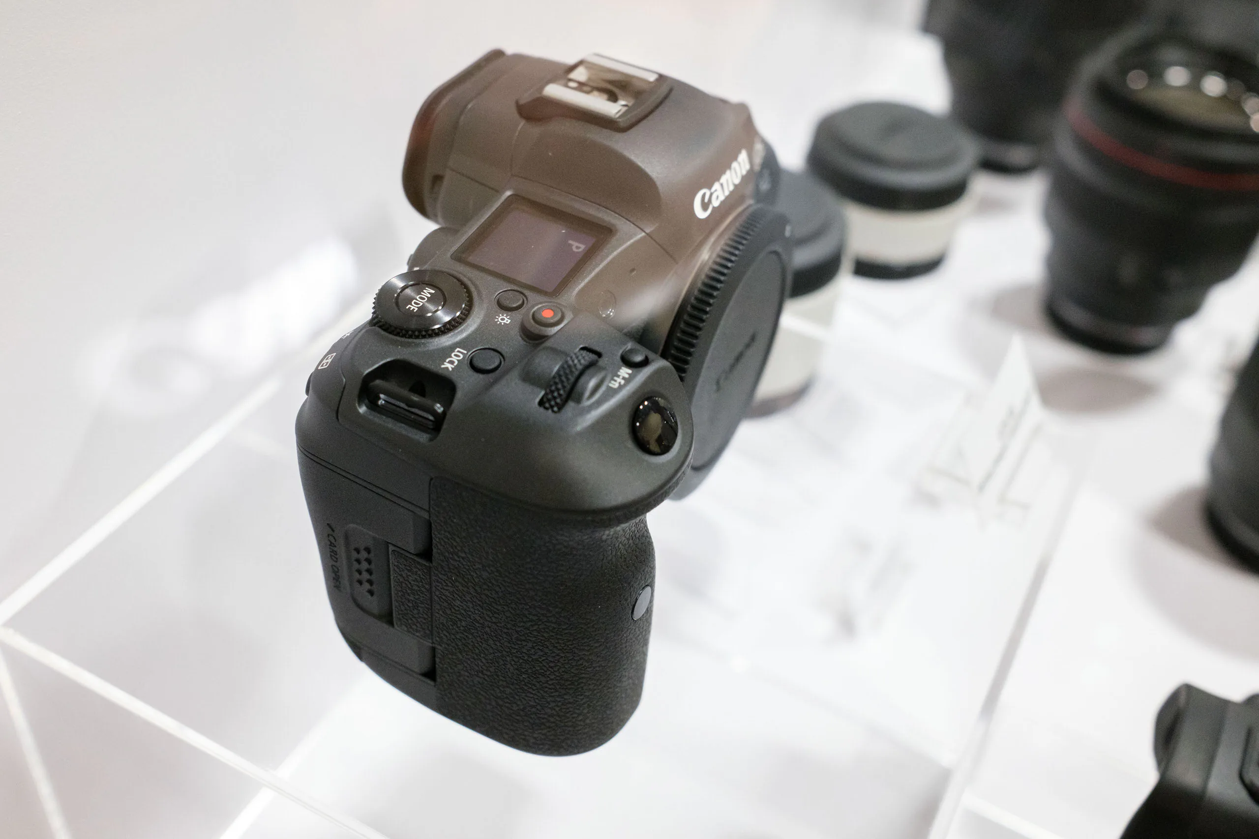 Canon trình diễn EOS R5 và ống kính RF 100-500mm tại sự kiện WPPI 2020
