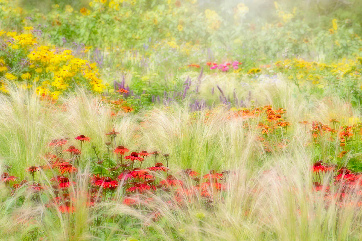 Những bức ảnh đẹp đoạt giải trong cuộc thi International Garden Photographer of the Year