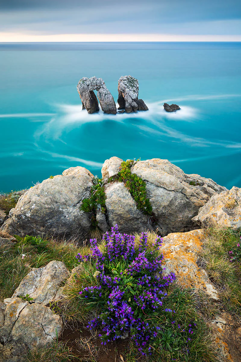 Những bức ảnh đẹp đoạt giải trong cuộc thi International Garden Photographer of the Year