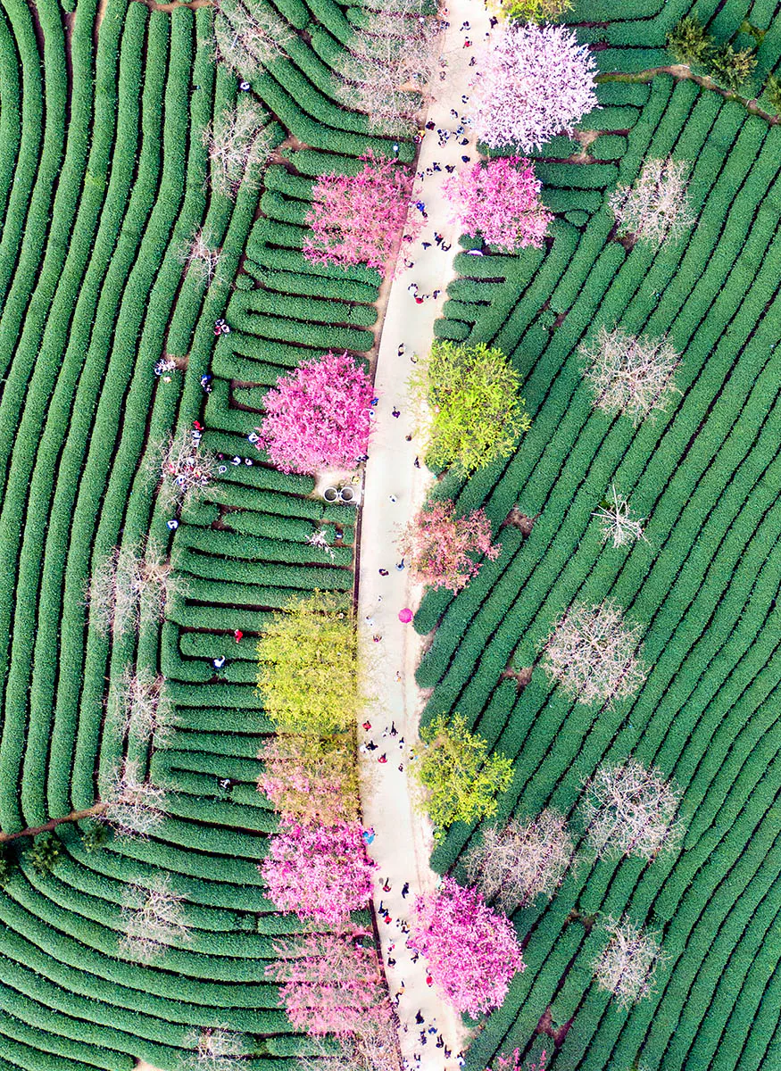 Những bức ảnh đẹp đoạt giải trong cuộc thi International Garden Photographer of the Year
