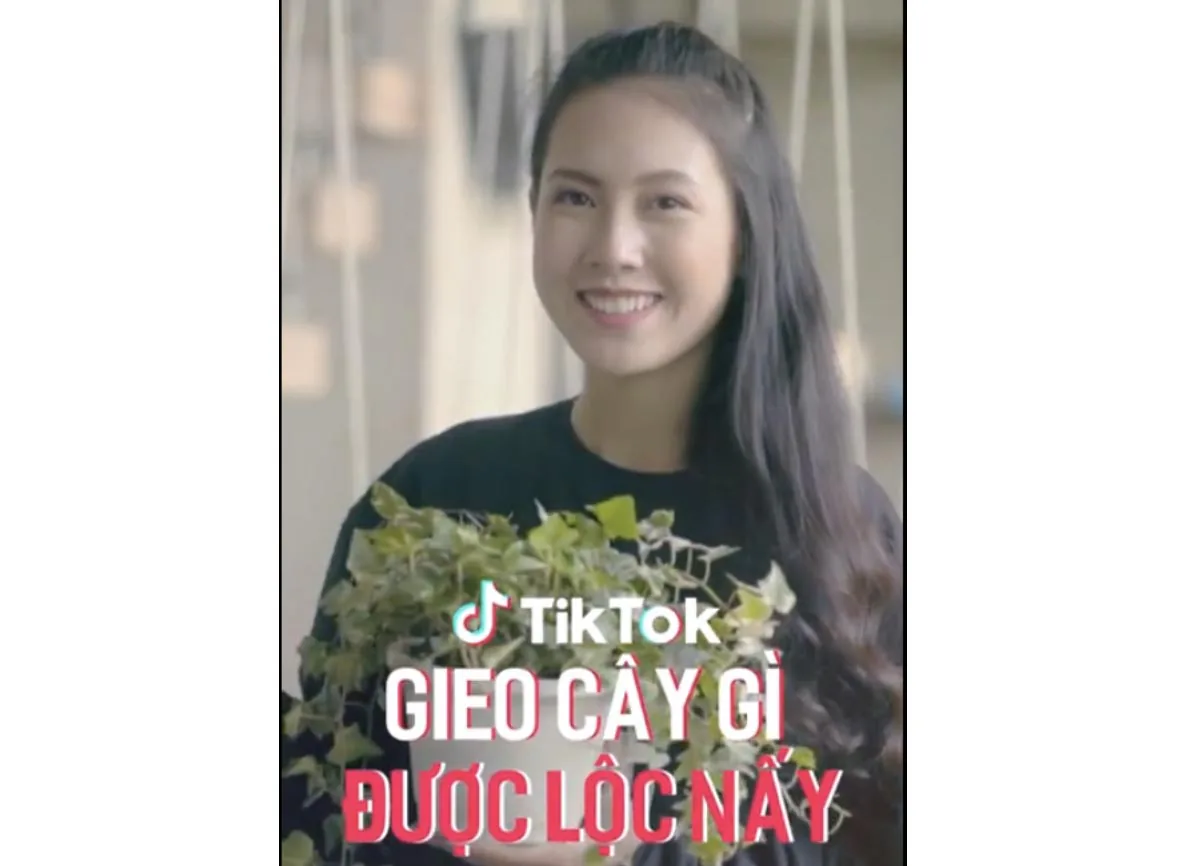 TikTok phát động cuộc thi làm video ngắn nâng cao ý thức bảo vệ cây xanh và môi trường