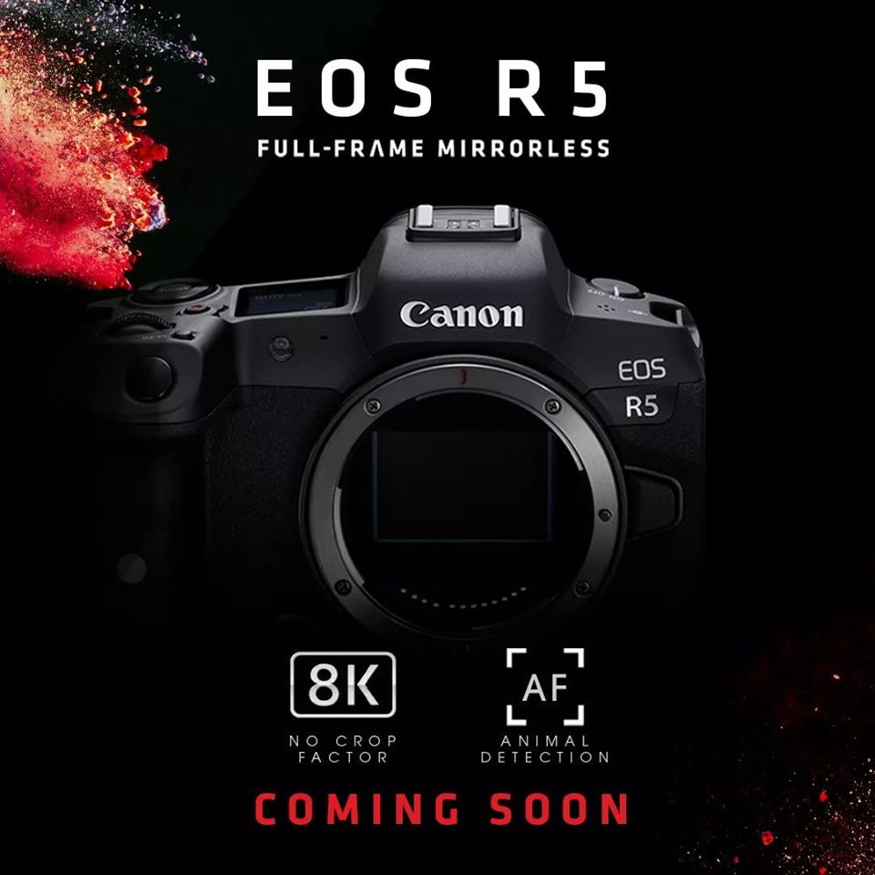 Canon xác nhận EOS R5 sẽ có thể quay video 8K/30p và có lấy nét AF động vật cao cấp