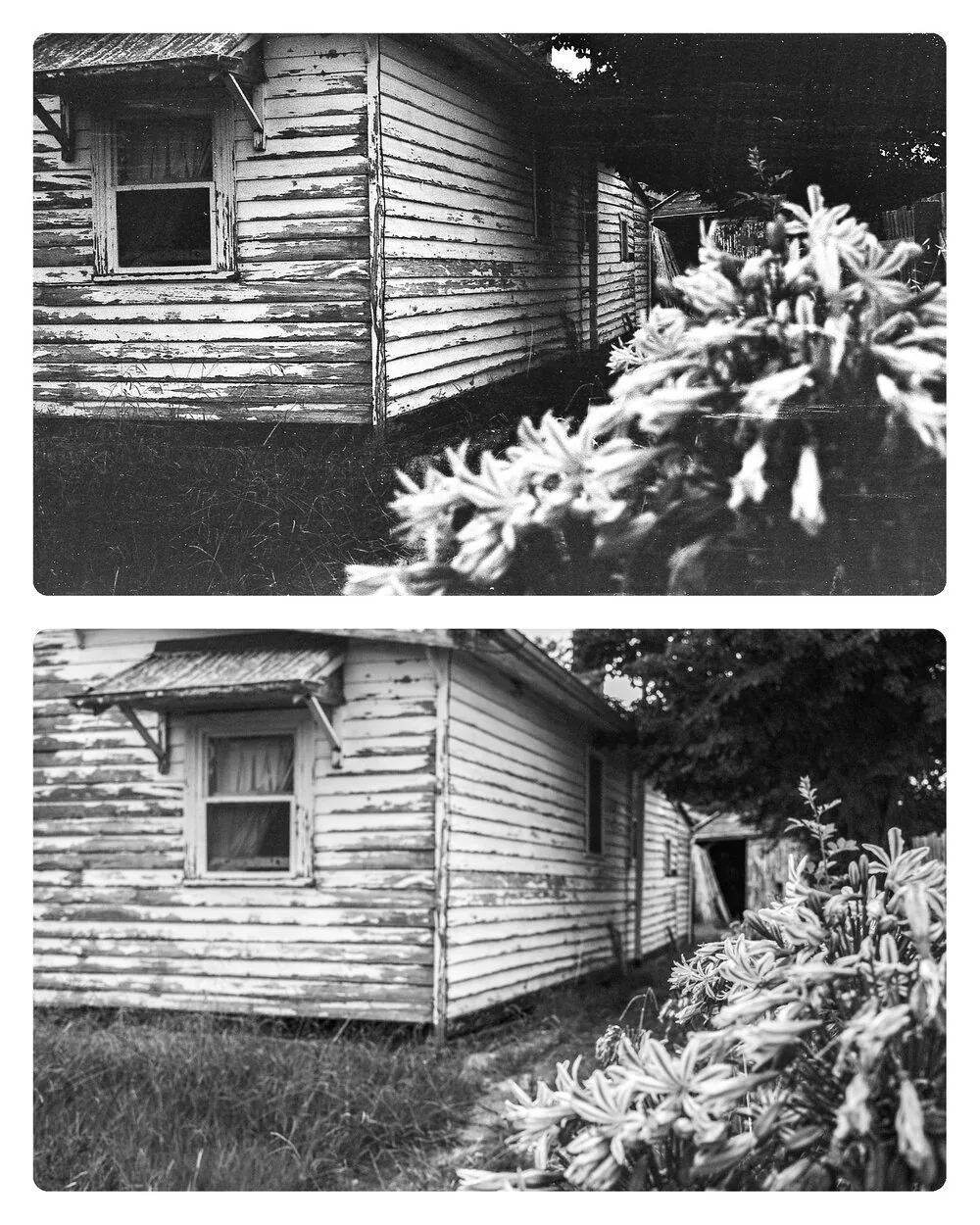 Ảnh phim thật đọ sức cùng giả lập Acros - Bạn thích "chân thực" hay "kĩ thuật số"?