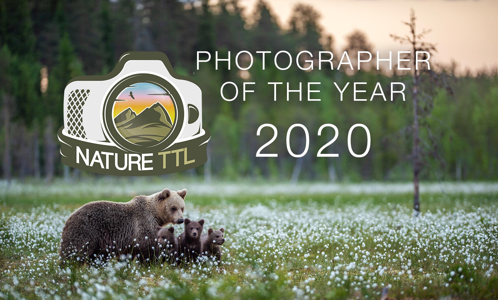 Những bức ảnh đoạt giải trong cuộc thi Nhiếp ảnh Thiên nhiên quốc tế 2020