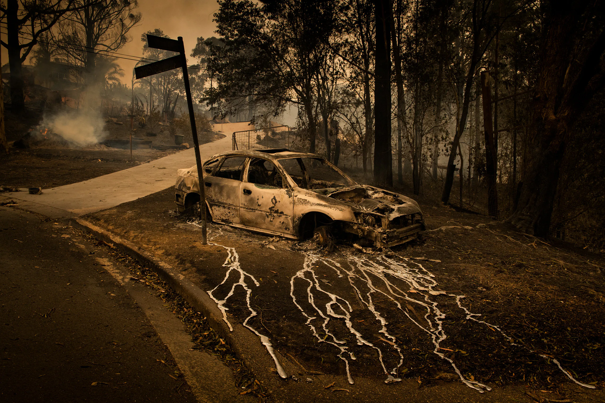 Những bức ảnh thắng giải cuộc thi World Press Photo 2020