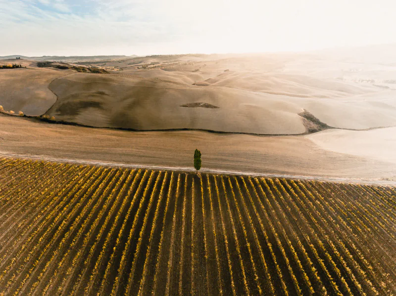 Những bức ảnh tuyệt đẹp của vùng đất Tuscany nước Ý được chụp bằng drone