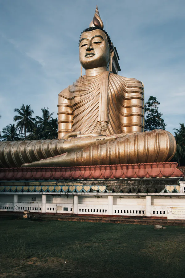 Bộ ảnh du lịch tại Sri Lanka với Fujifilm X-Pro3 mà không sử dụng màn hình LCD cực đẹp