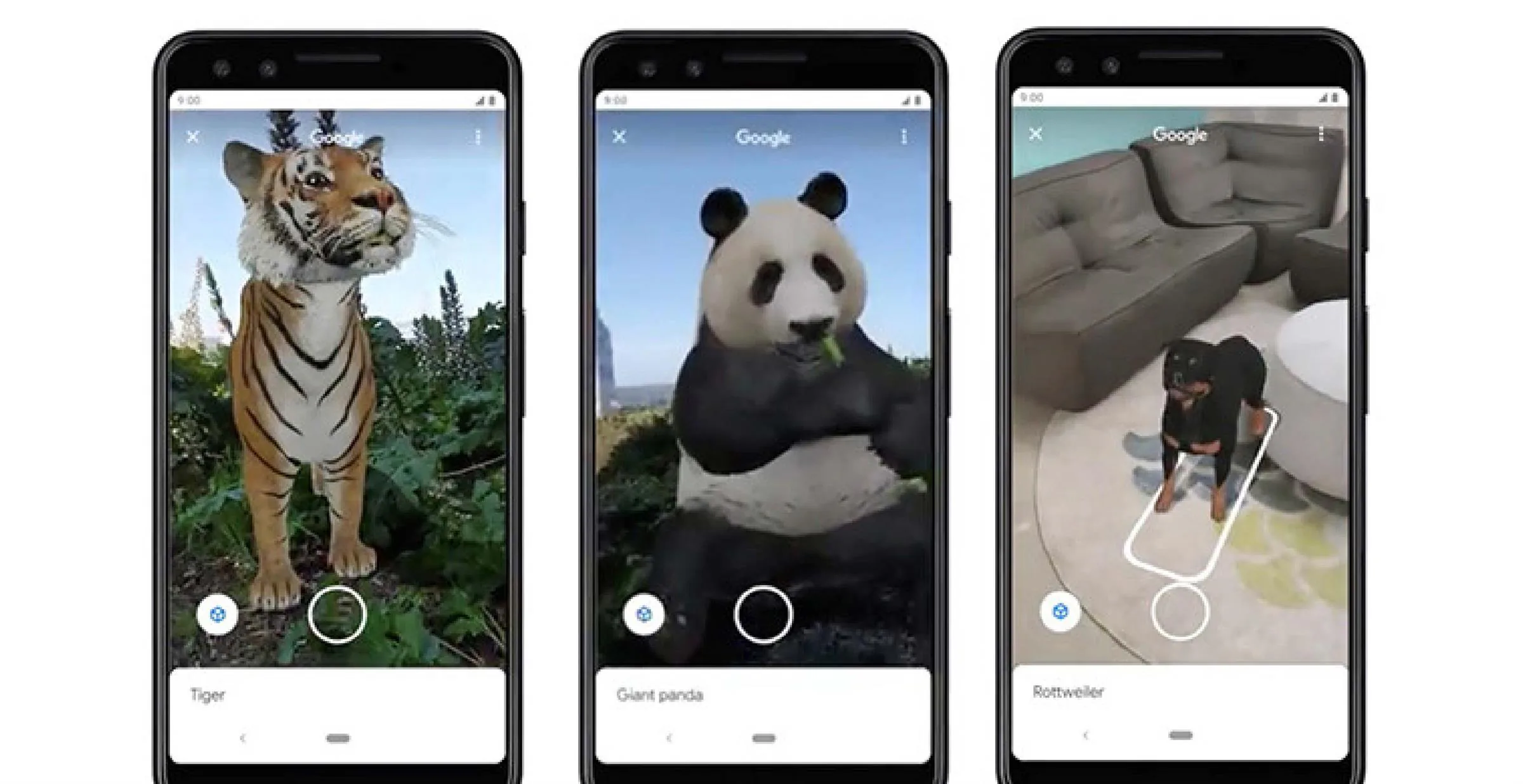 GOOGLE FOR KIDS - 9 sản phẩm của Google dành cho trẻ em