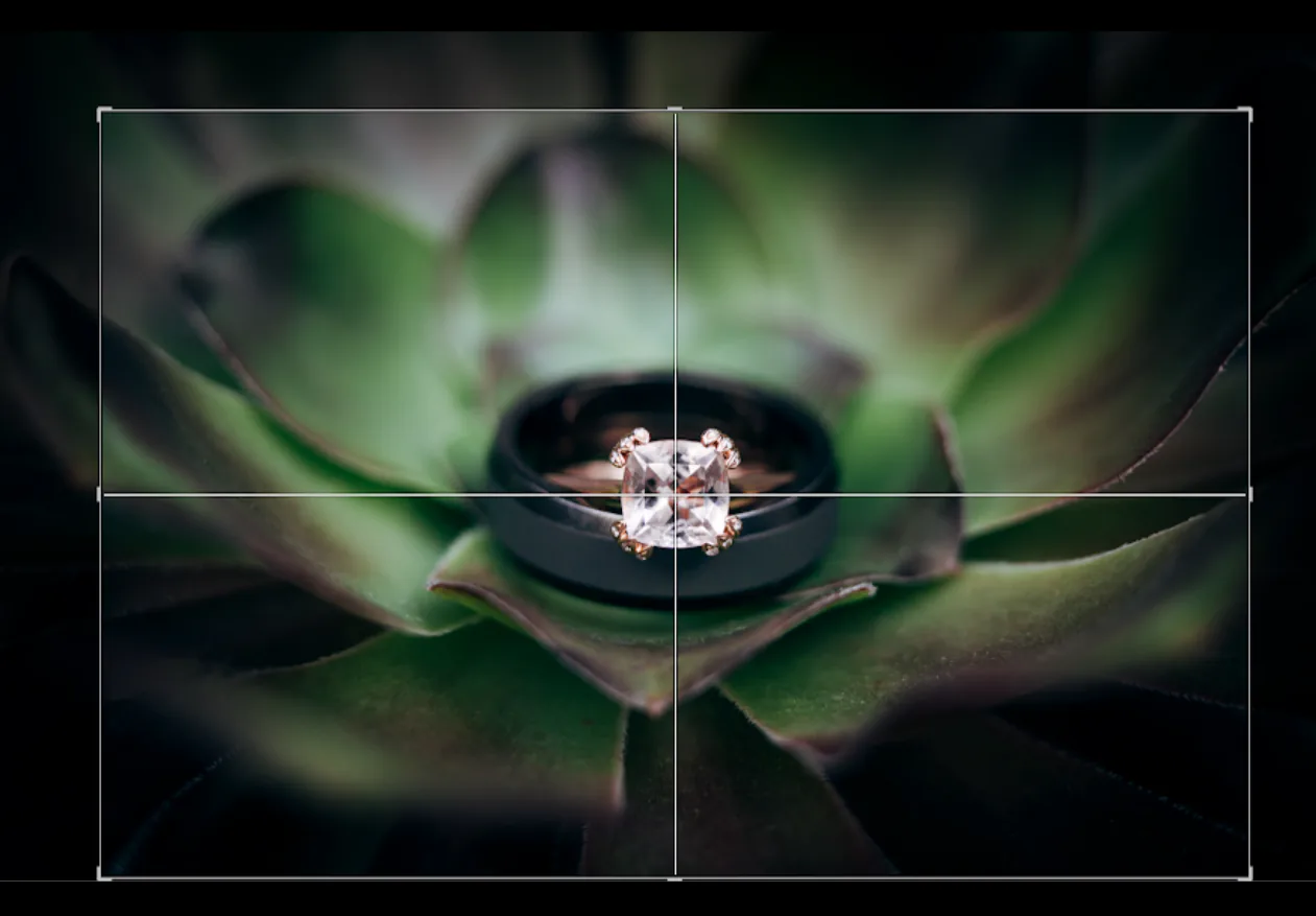 Adobe cập nhật các ứng dụng Photoshop, Lightroom và Camera RAW
