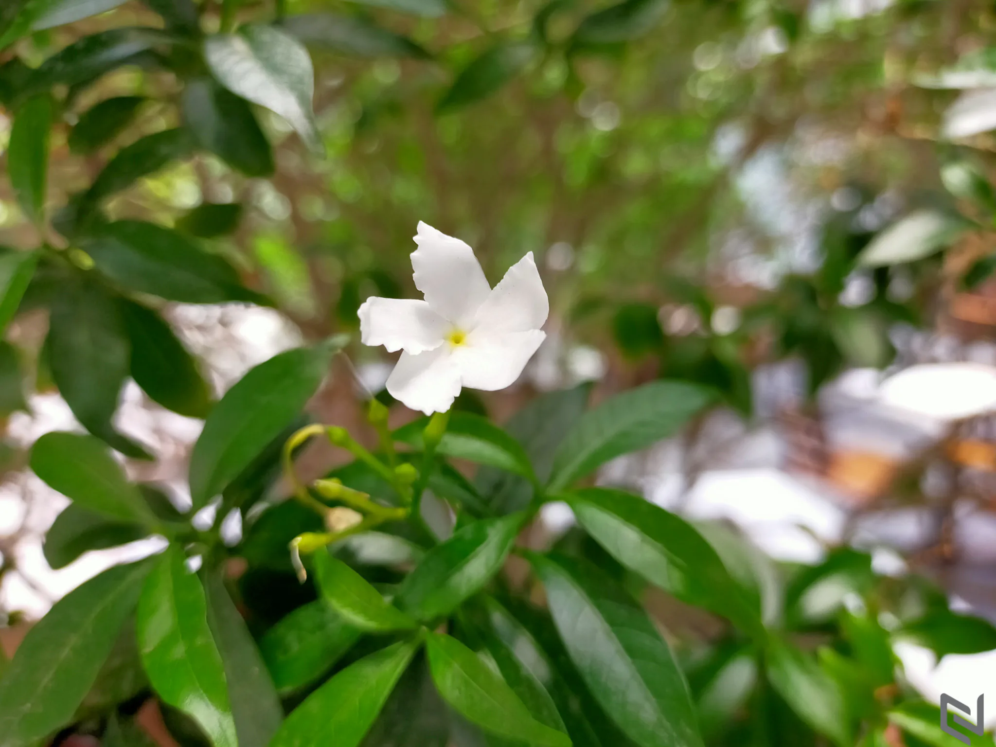 Trải nghiệm loạt tính năng của OPPO A92: Từ thiết kế, camera, hiệu năng đến trải nghiệm phần mềm đều rất tuyệt