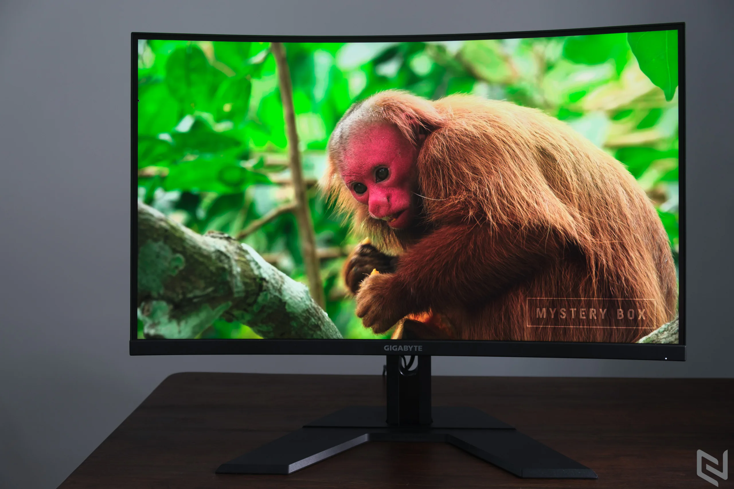 Trải nghiệm màn hình Gigabyte G32QC: Màn hình chơi game giải trí kết hợp