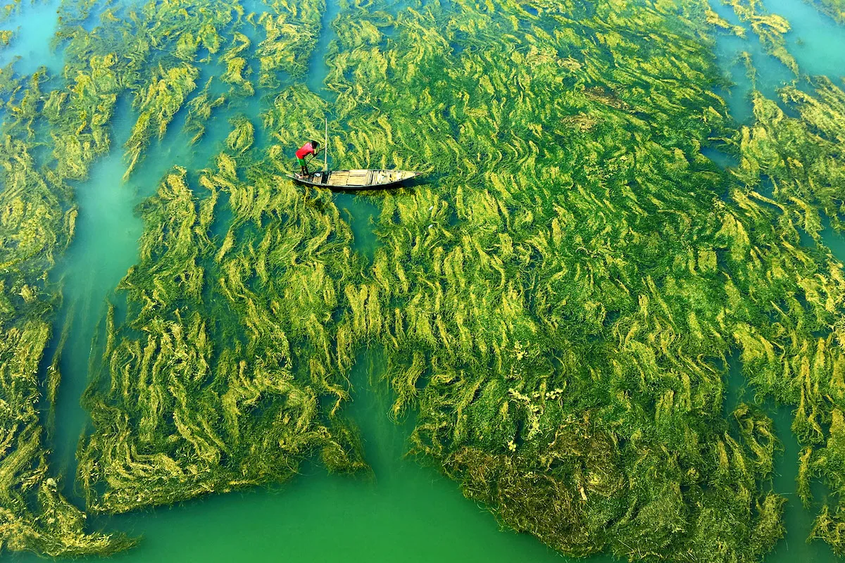 Những bức ảnh xuất xắc đoạt giải thưởng HIPA trong chủ đề "Water"