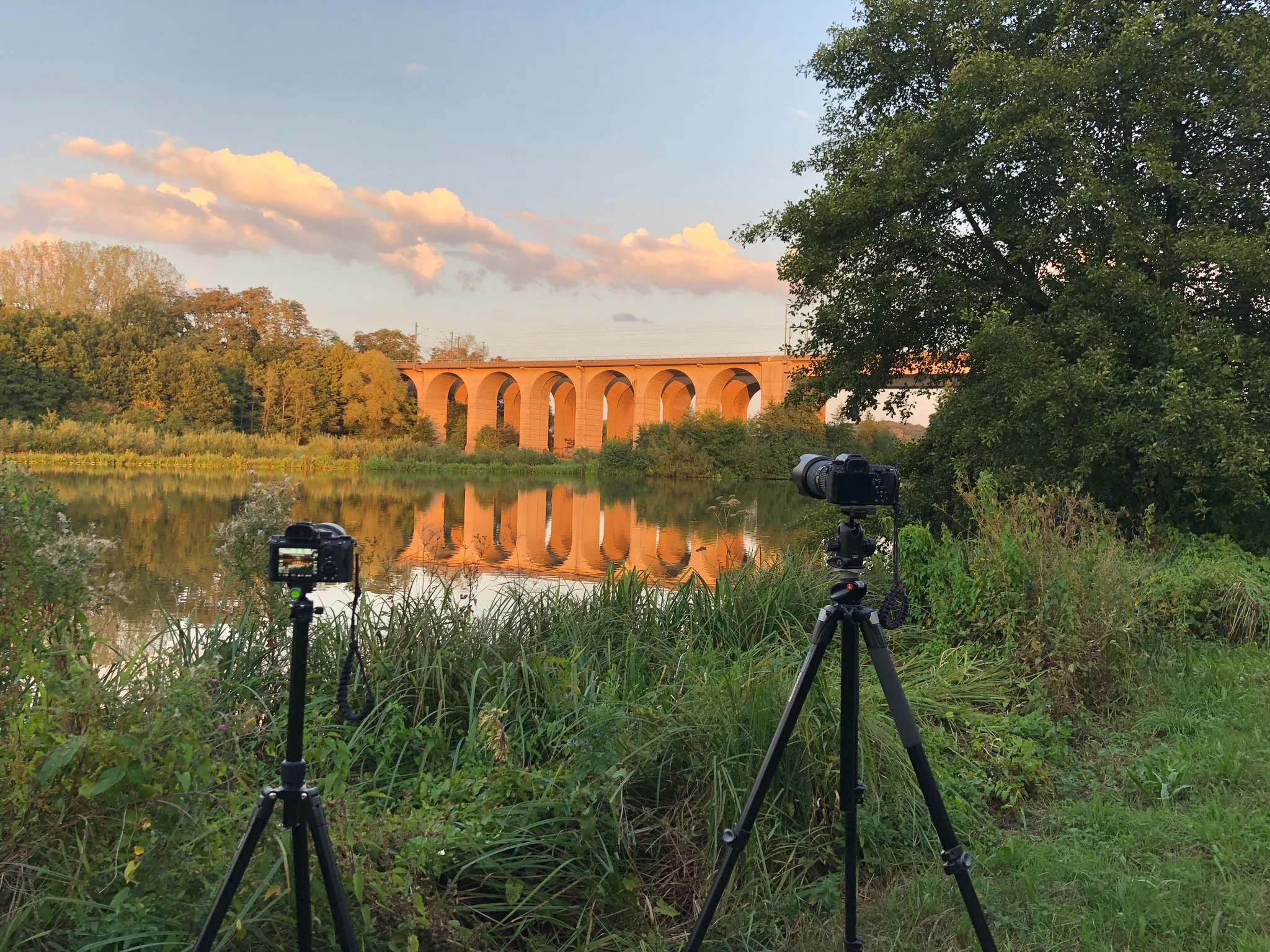 Tổng hợp tripod xịn giá tốt nhất cho máy ảnh tại WinWinStore