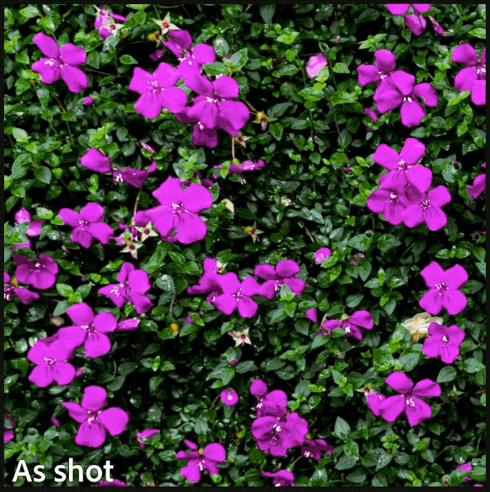 Adobe cập nhật các ứng dụng Photoshop, Lightroom và Camera RAW