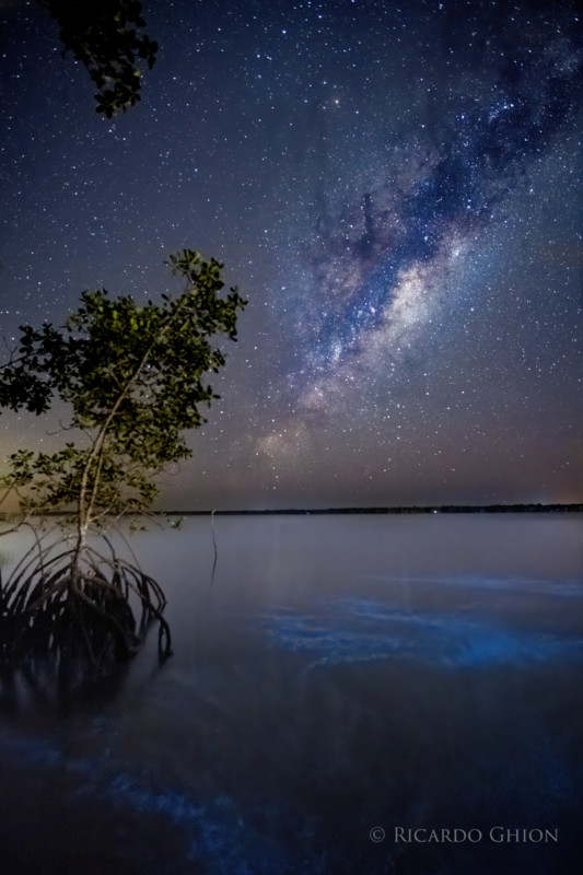 Kết hợp chụp Milky Way và Phát Quang Sinh Học, một nhiếp ảnh gia thu được bộ ảnh cực đẹp mắt và rực rỡ