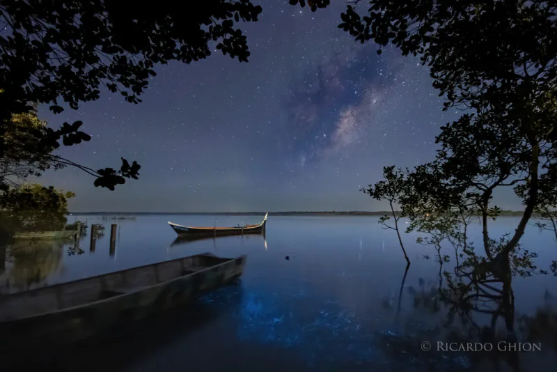 Kết hợp chụp Milky Way và Phát Quang Sinh Học, một nhiếp ảnh gia thu được bộ ảnh cực đẹp mắt và rực rỡ
