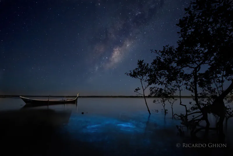 Kết hợp chụp Milky Way và Phát Quang Sinh Học, một nhiếp ảnh gia thu được bộ ảnh cực đẹp mắt và rực rỡ