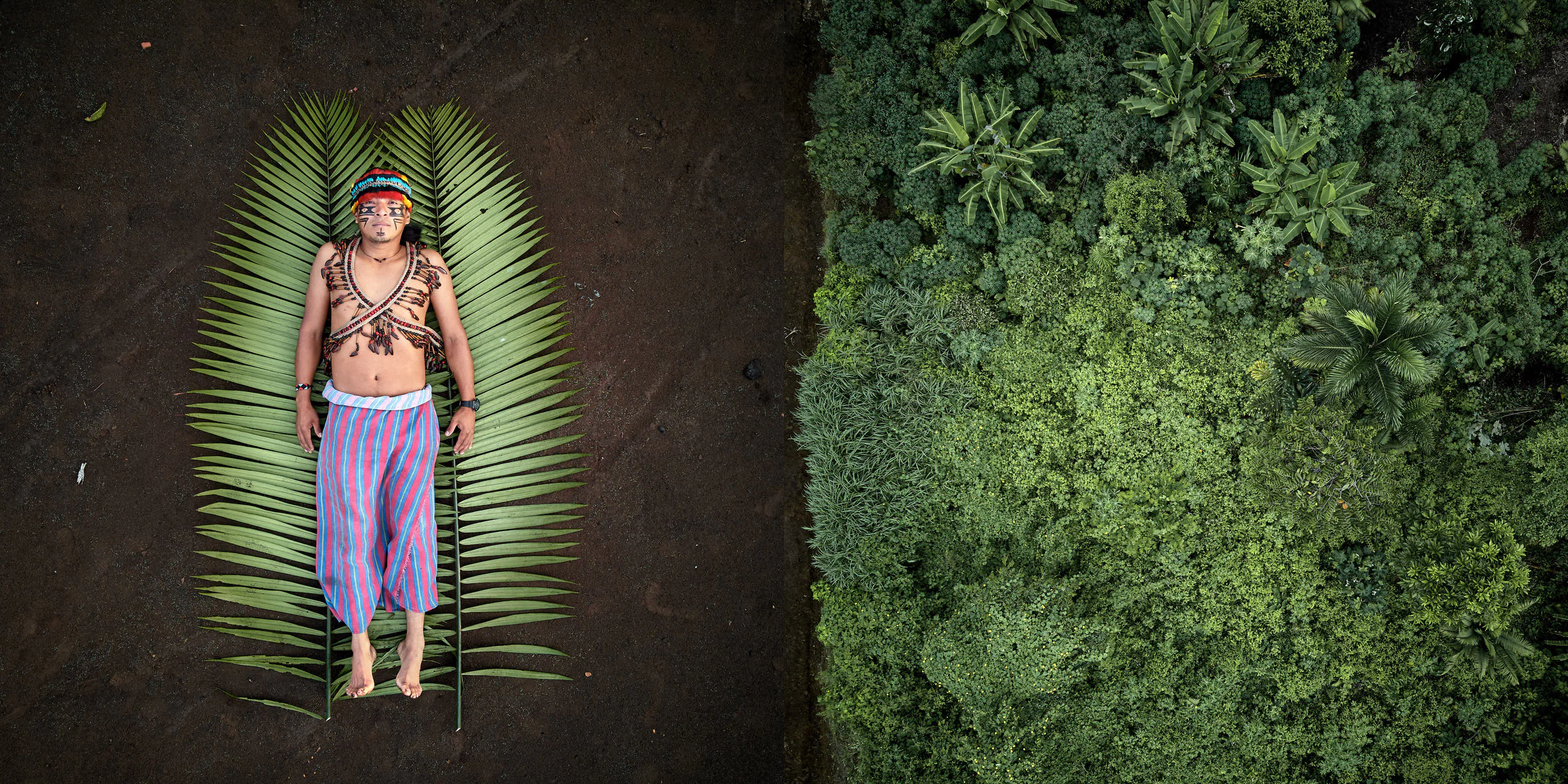 Những bức ảnh đoạt giải Sony World Photography Awards 2020