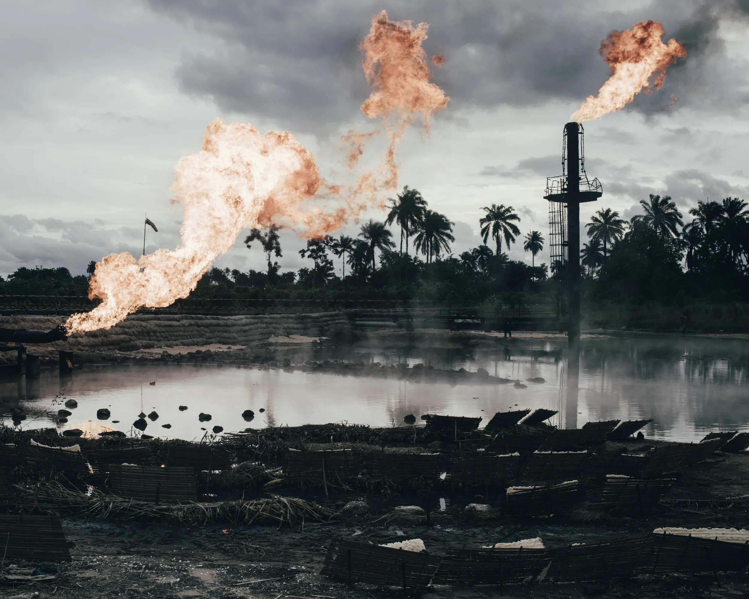 Những bức ảnh đoạt giải Sony World Photography Awards 2020