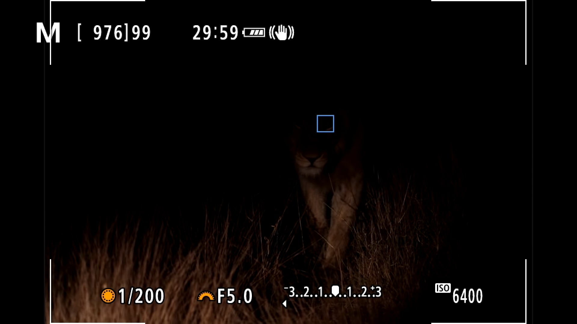 Nhiếp ảnh gia hoang dã ấn tượng với hệ thống lấy nét tự động mắt động vật từ Canon EOS R5