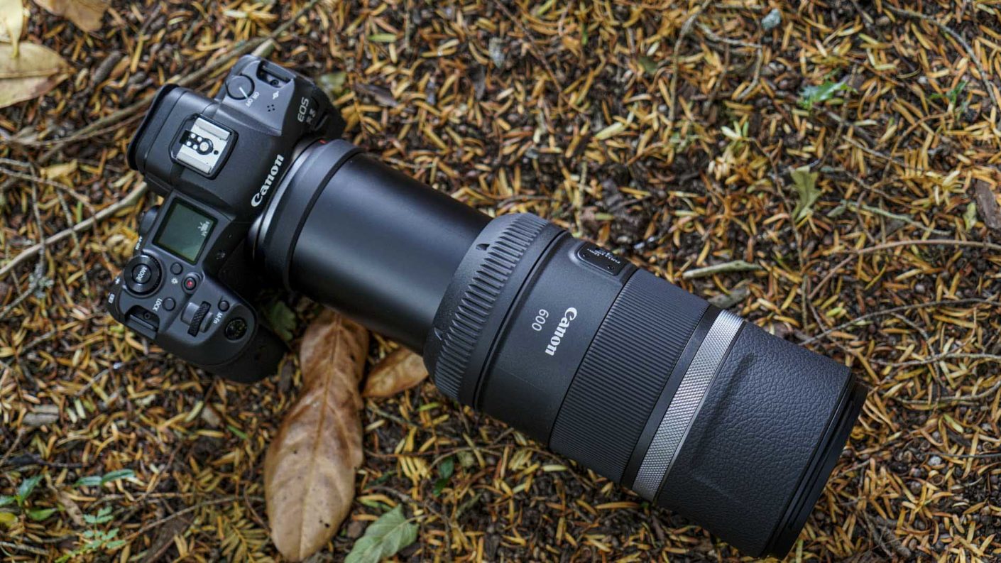 Canon ra mắt hai ống kính RF 600mm và 800mm F11 IS STM cùng teleconverter 1.4x và 2x