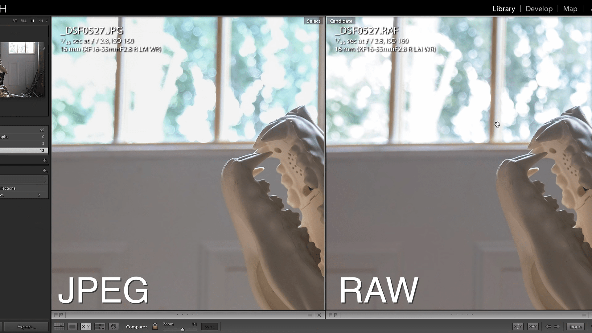 Sự khác biệt giữa ảnh RAW và JPEG: Nên chọn định dạng ảnh nào phù hợp?