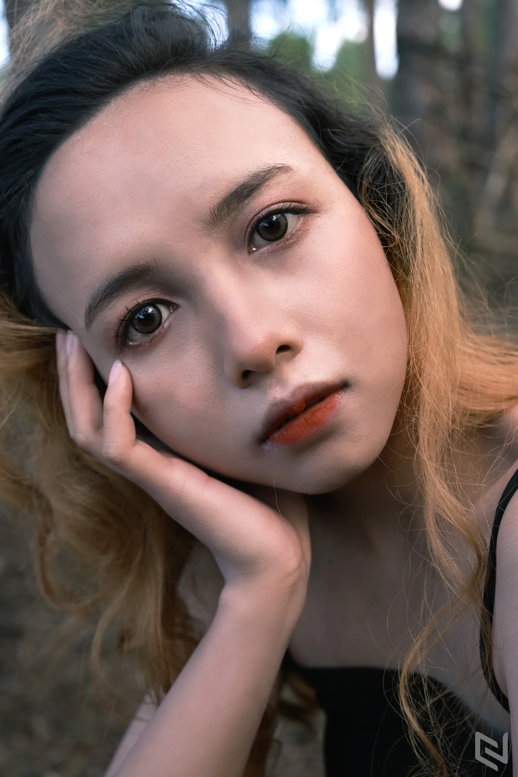 Bộ ba ống kính zoom Fujifilm, đâu là sự lựa chọn hợp lý và đáng mua nhất?