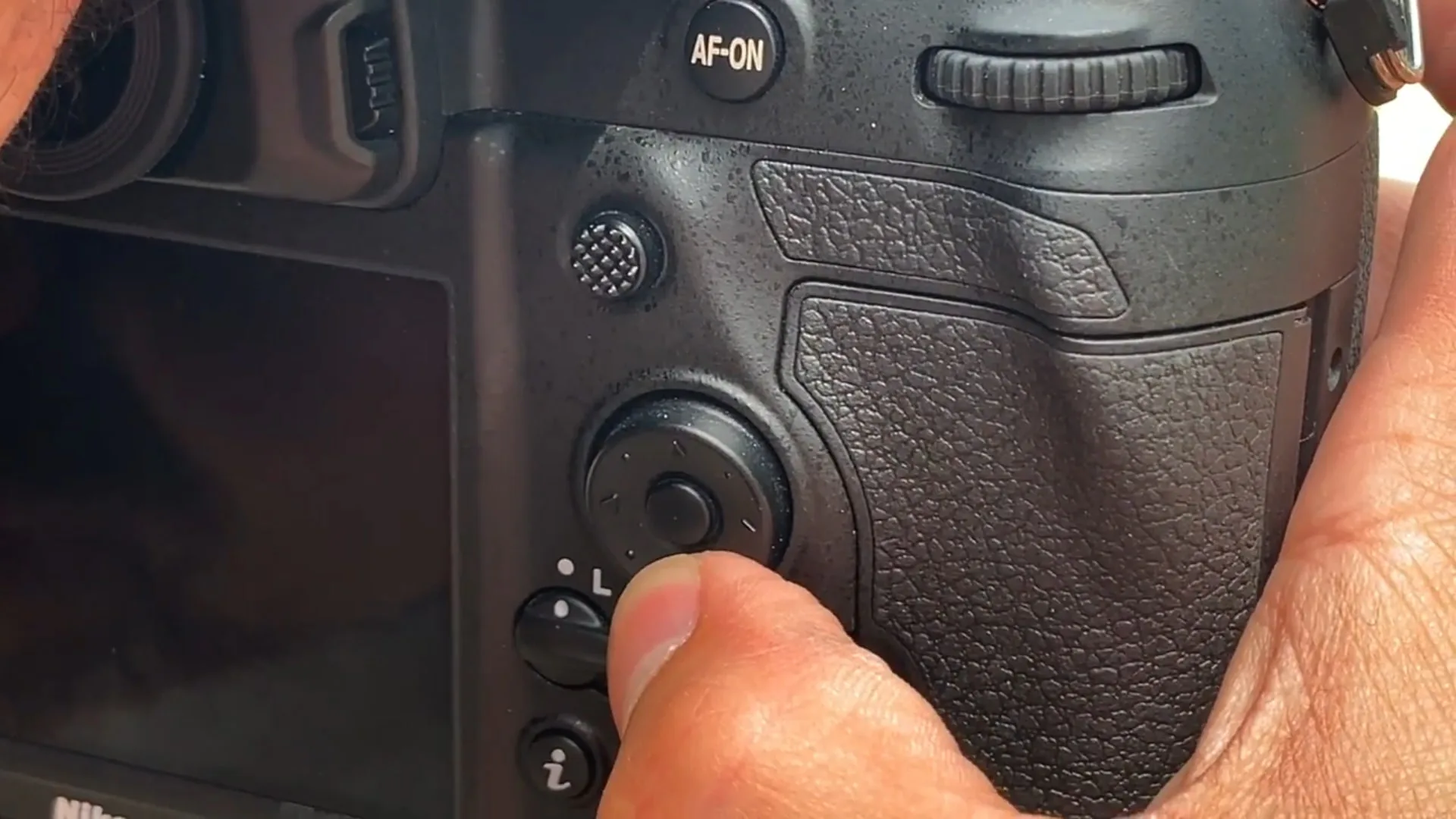 Những khoảnh khắc đời sống hoang dã ấn tượng được nhiếp ảnh gia và Nikon D6 bắt trọn
