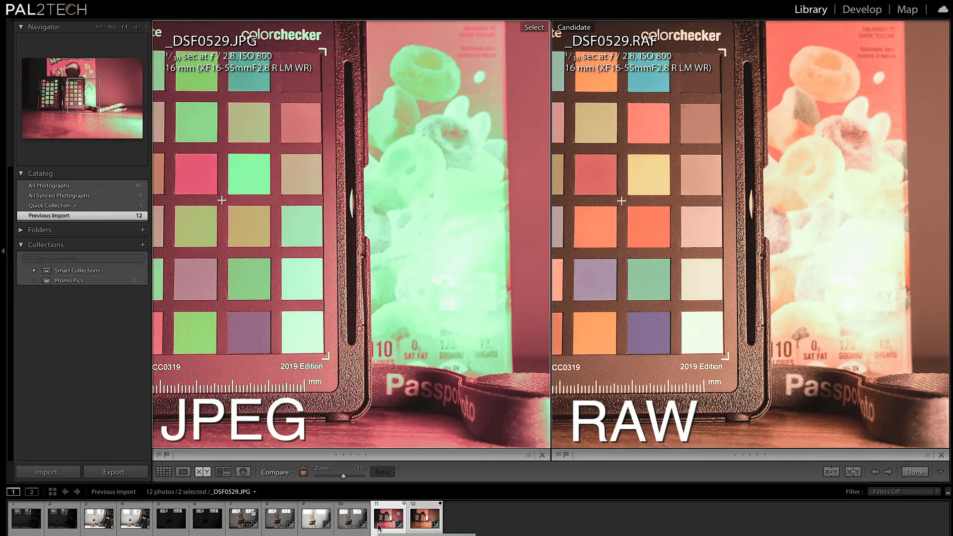 Sự khác biệt giữa ảnh RAW và JPEG: Nên chọn định dạng ảnh nào phù hợp?