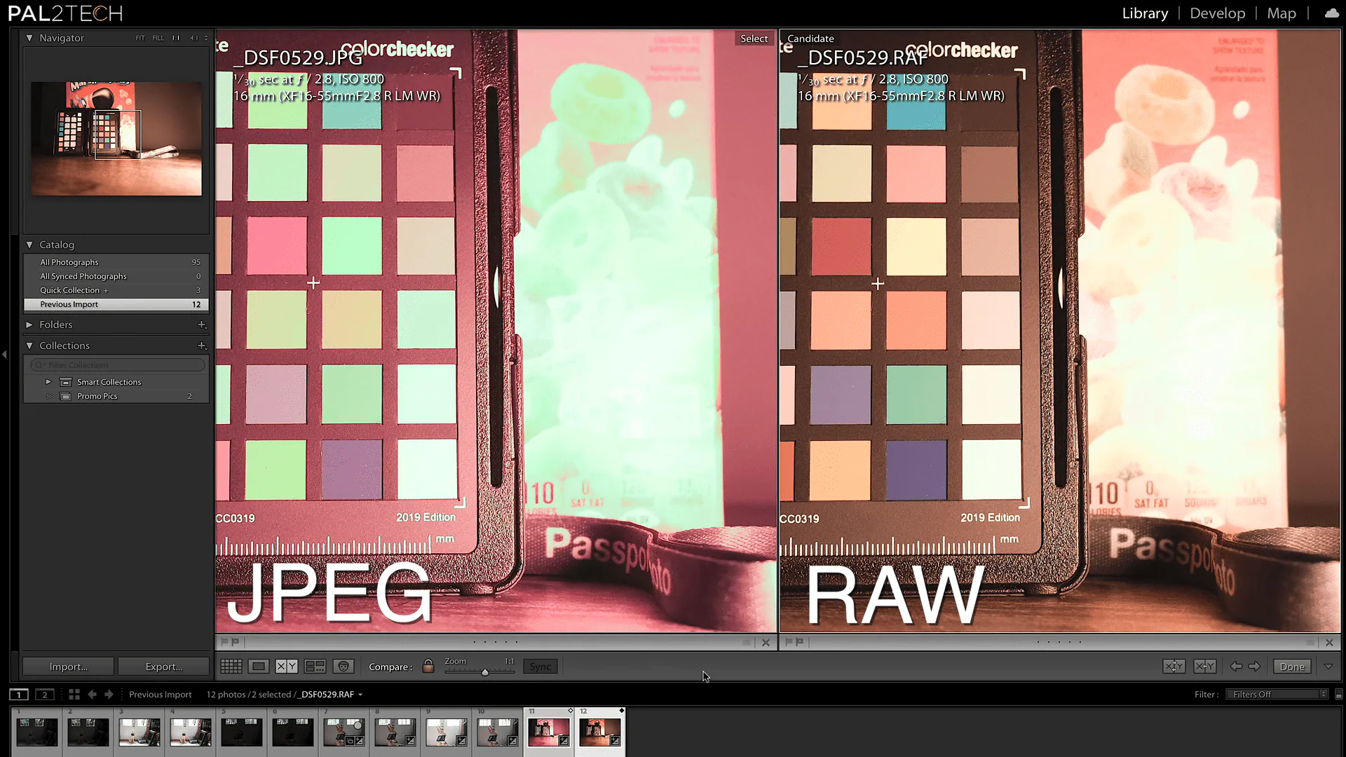 Sự khác biệt giữa ảnh RAW và JPEG: Nên chọn định dạng ảnh nào phù hợp?