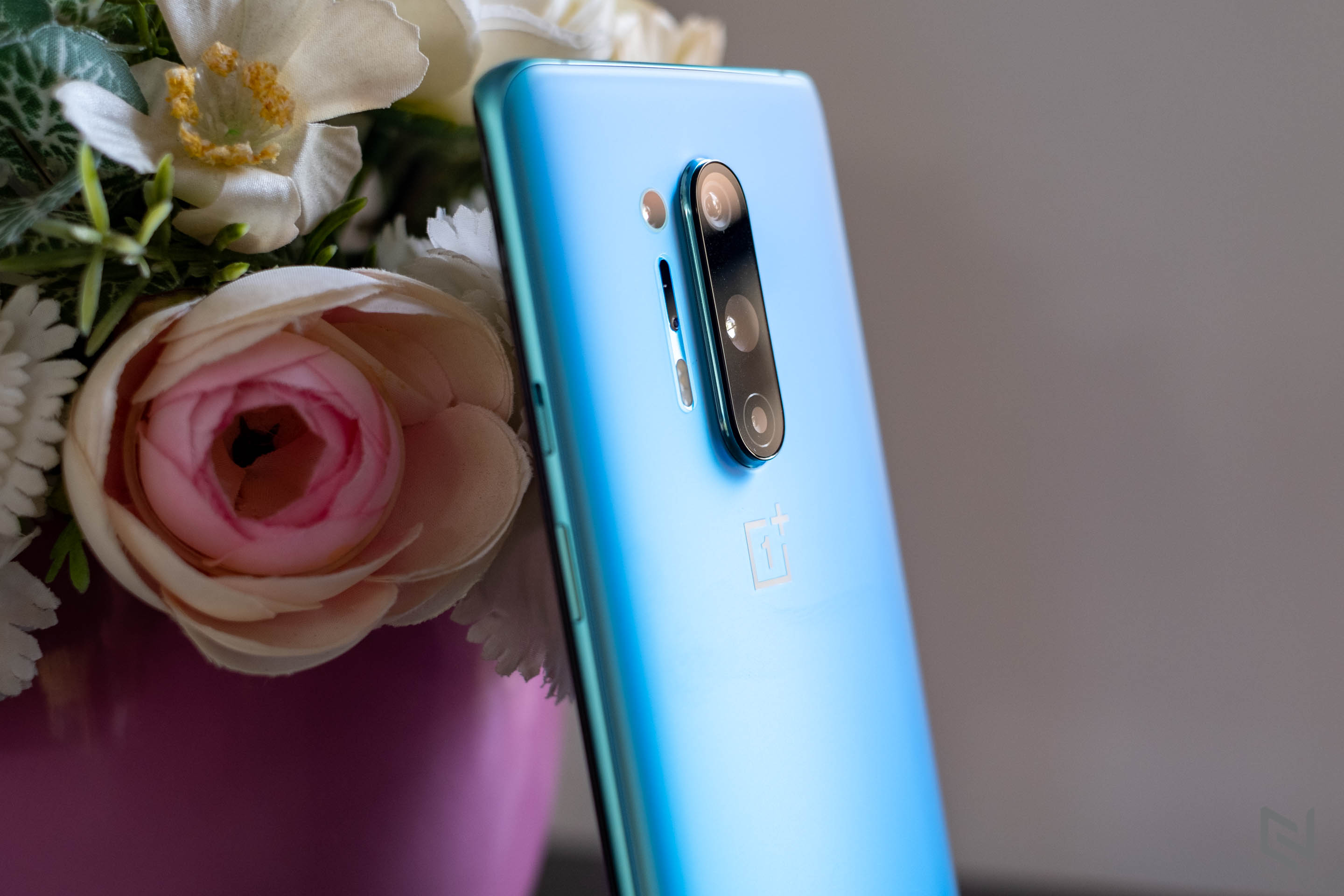 Trải nghiệm camera OnePlus 8 Pro 5G: Hội tụ những gì tốt nhất trên camera Smartphone