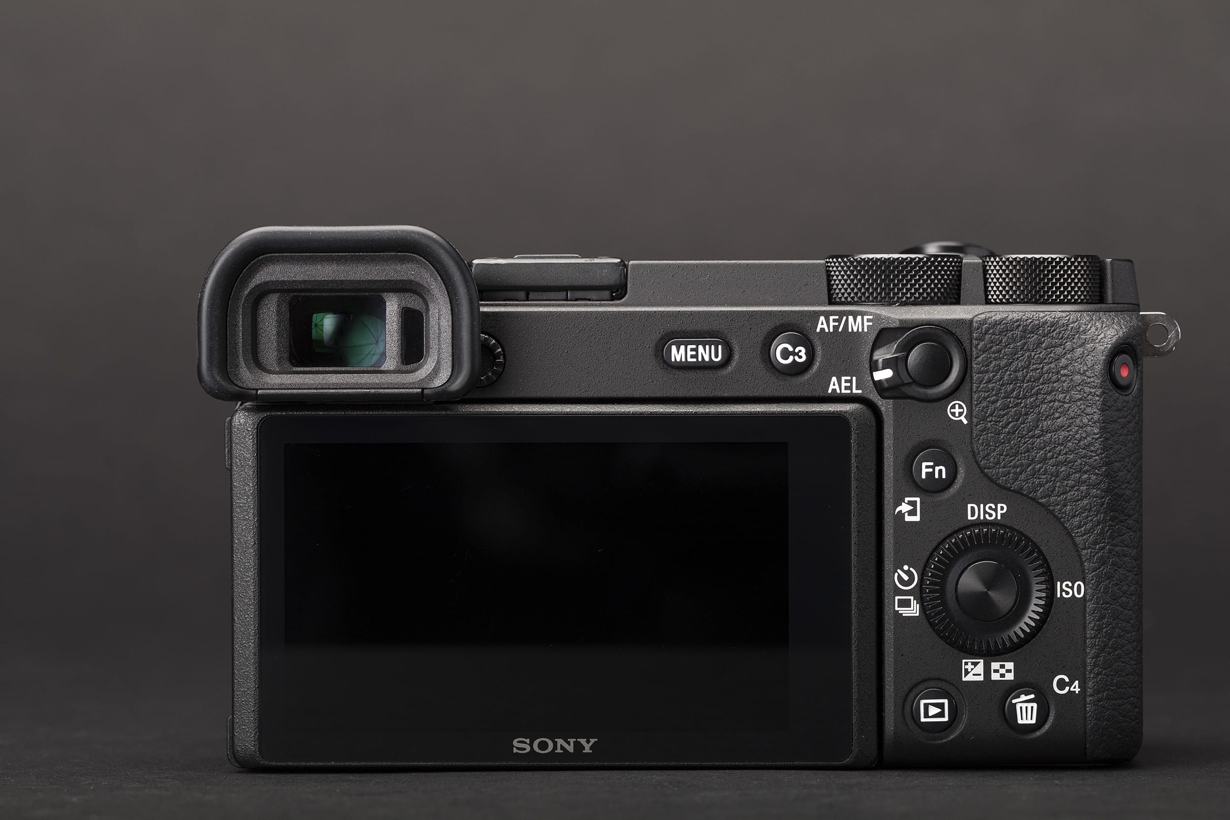 Sony a7R IV và Sony a6600 là bộ đôi máy ảnh tốt nhất cho chụp chân dung nghiệp dư lẫn chuyên gia