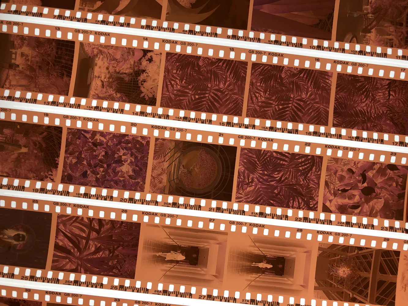 Sơ lược về chụp ảnh film 2020: Các loại film chụp ảnh bạn nên biết