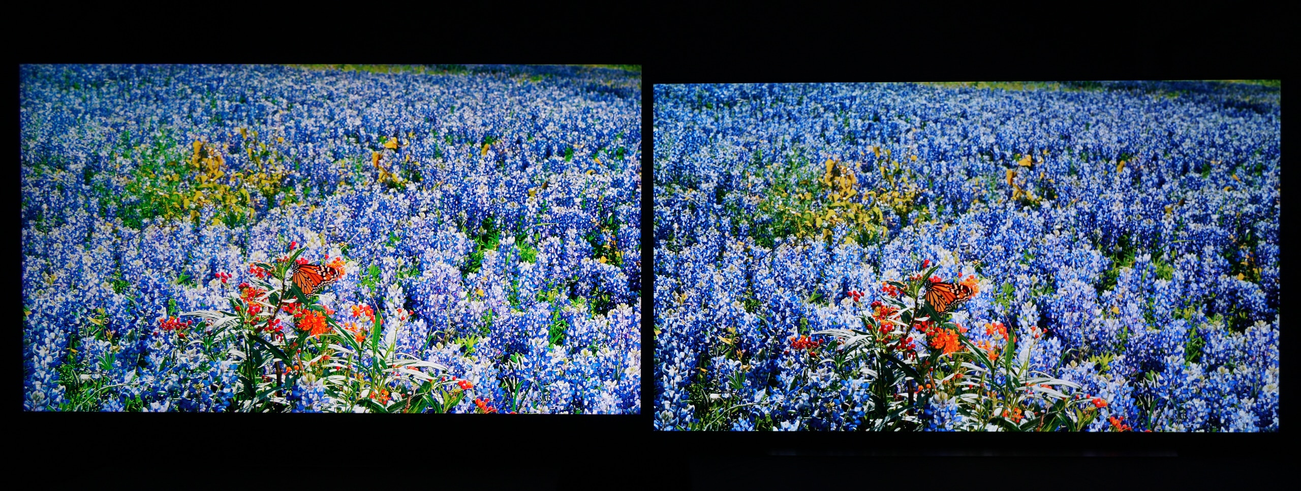 So sánh TV QLED và TV OLED: Chất lượng hình ảnh vượt trội của QLED đem đến trải nghiệm tốt nhất