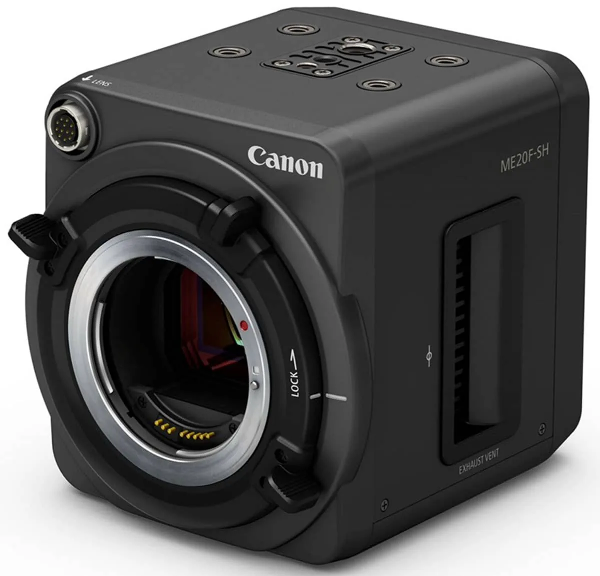 Cùng chiêm ngưỡng đời sống thực vật tại Amazon được máy ảnh Canon có ISO 4,500,000 ghi lại