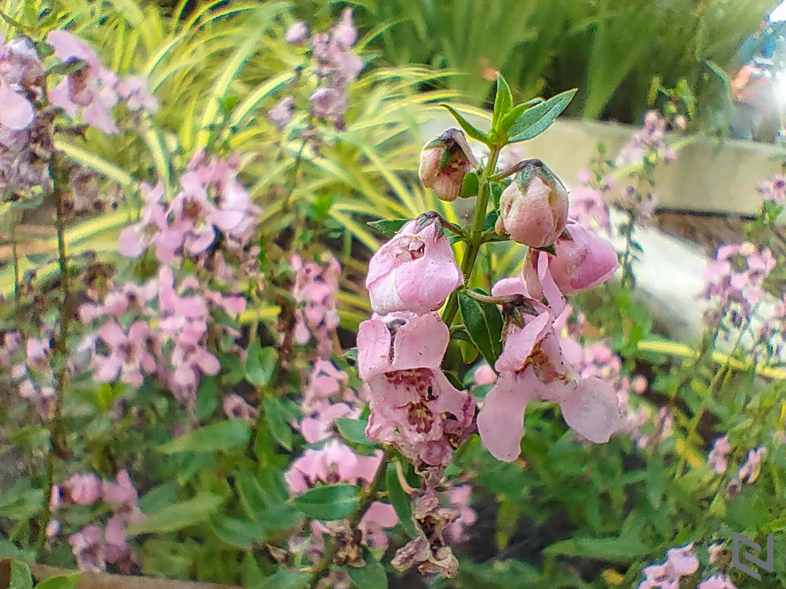 Trải nghiệm bộ tứ camera Nokia 8.3 5G: Lợi thế ống kính Zeiss và thuật toán độc quyền tạo sự khác biệt