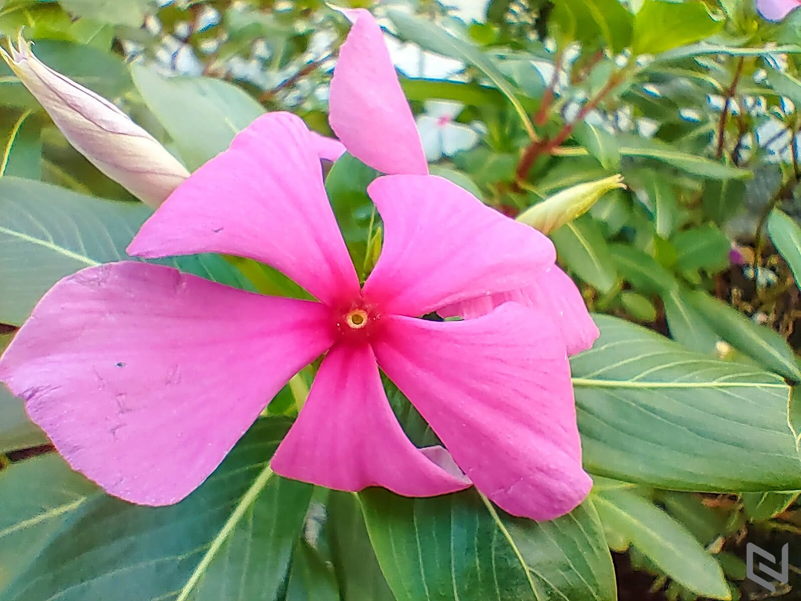 Trải nghiệm bộ tứ camera Nokia 8.3 5G: Lợi thế ống kính Zeiss và thuật toán độc quyền tạo sự khác biệt