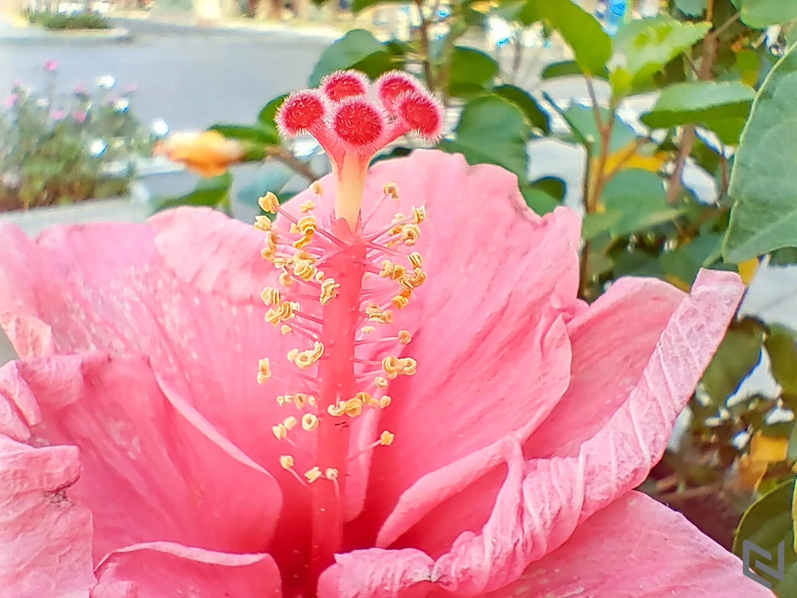 Trải nghiệm bộ tứ camera Nokia 8.3 5G: Lợi thế ống kính Zeiss và thuật toán độc quyền tạo sự khác biệt